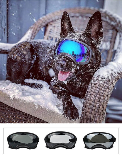 Doggy Goggies